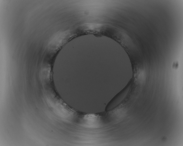 X0000111800231200909031236