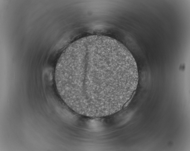 X0000111800232200909031236