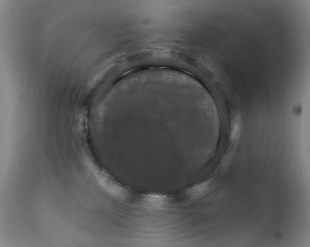 X0000111800233200909031236