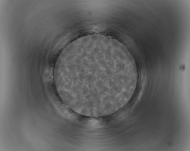 X0000111800236200909031236