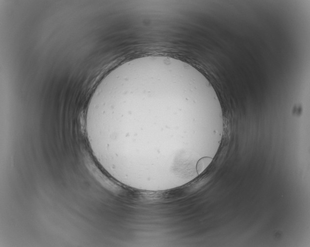 X0000111800238200909031236