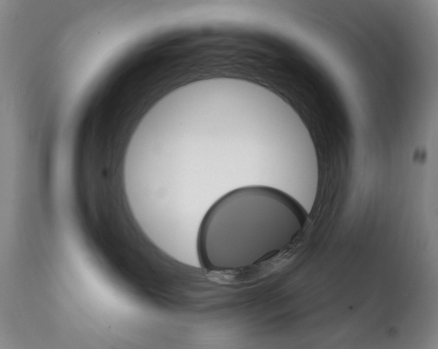 X0000111800239200909031236