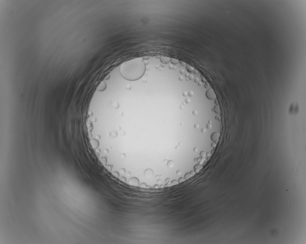X0000111800240200909031236