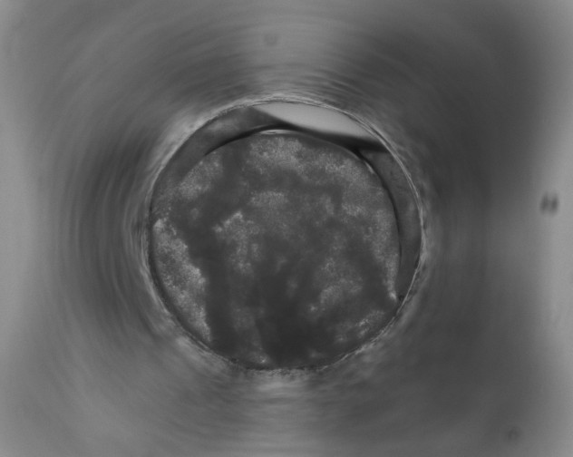 X0000111800241200909031235