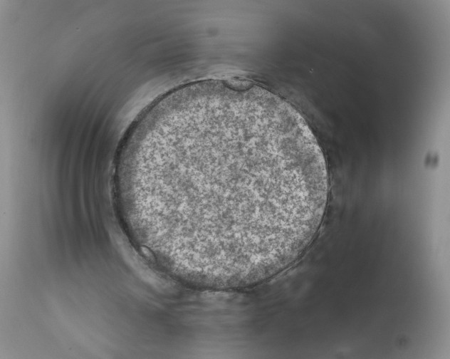 X0000111800242200909031235
