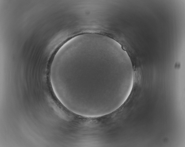 X0000111800243200909031235
