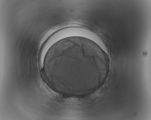 X0000111800244200909031235