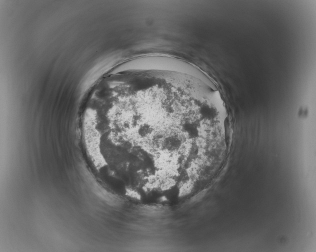 X0000111800245200909031235