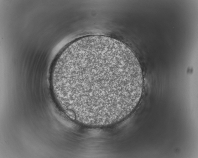 X0000111800246200909031235