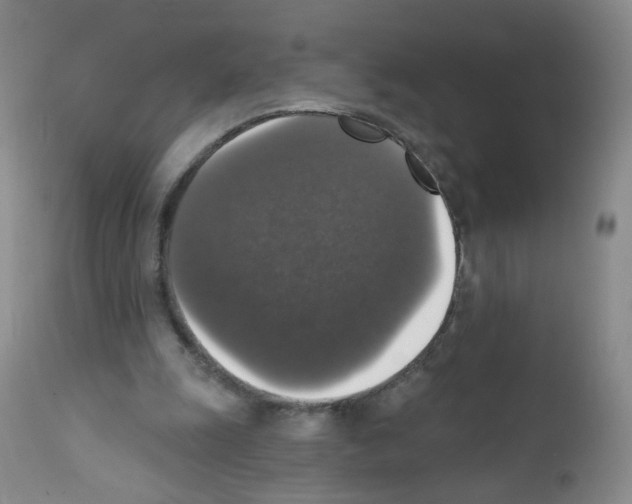 X0000111800247200909031235