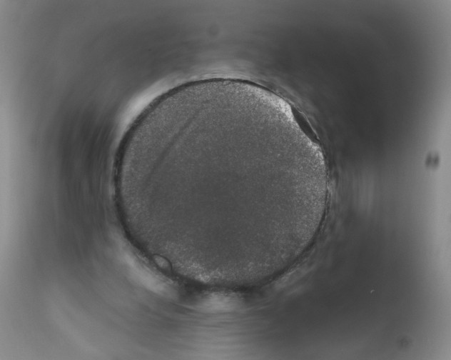 X0000111800248200909031235