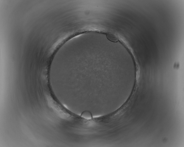 X0000111800249200909031235