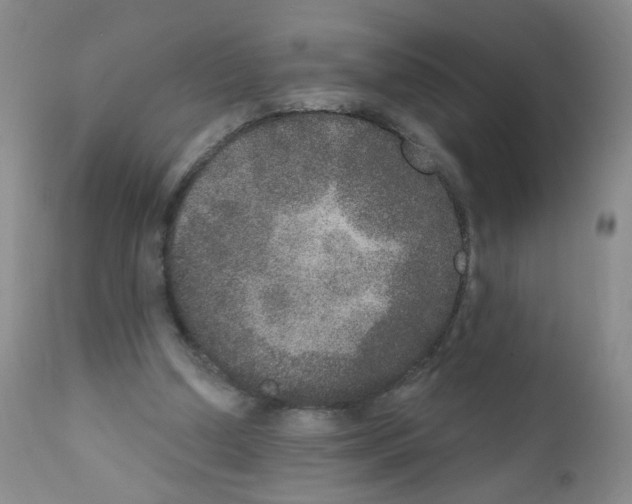 X0000111800250200909031235