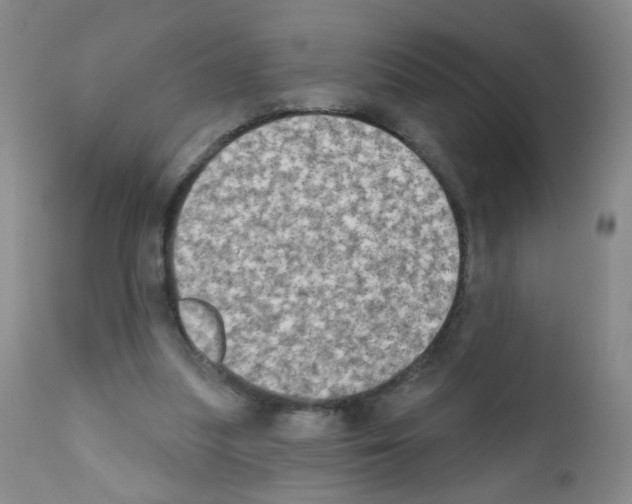 X0000111800251200909031235