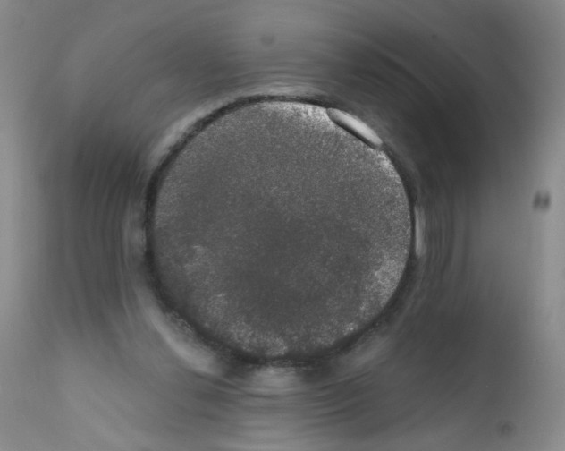 X0000111800252200909031235