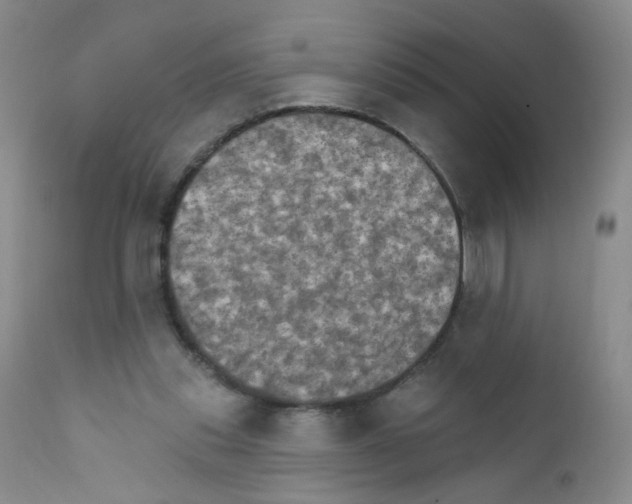 X0000111800253200909031236
