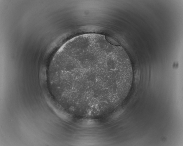 X0000111800254200909031236