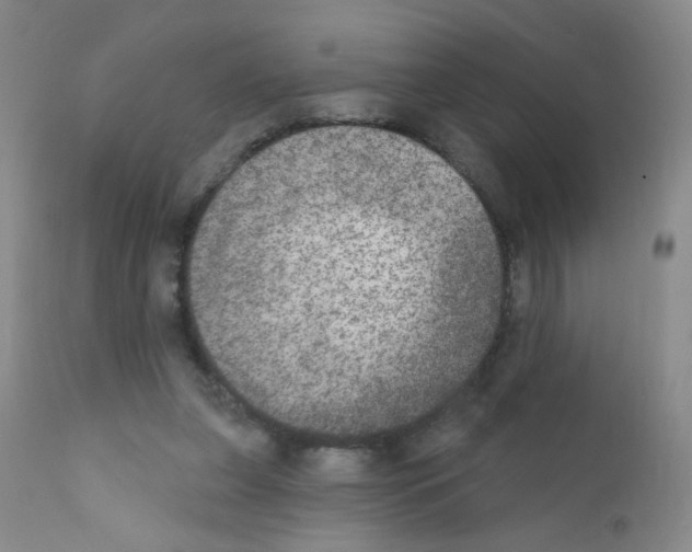 X0000111800255200909031236