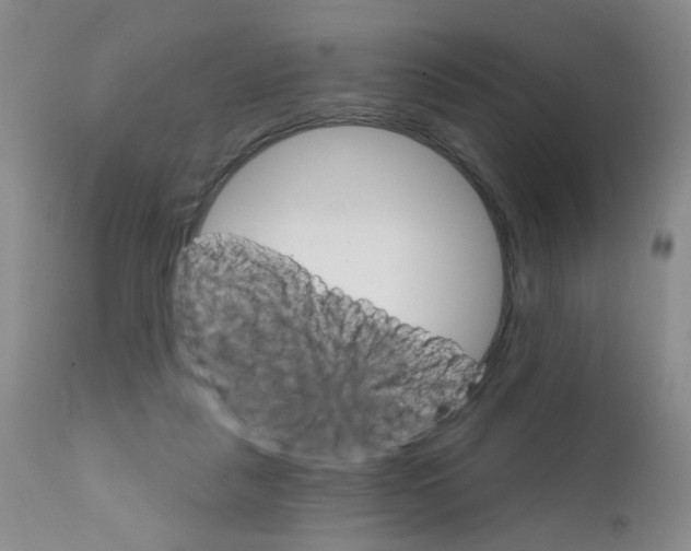 X0000111800259200909031236