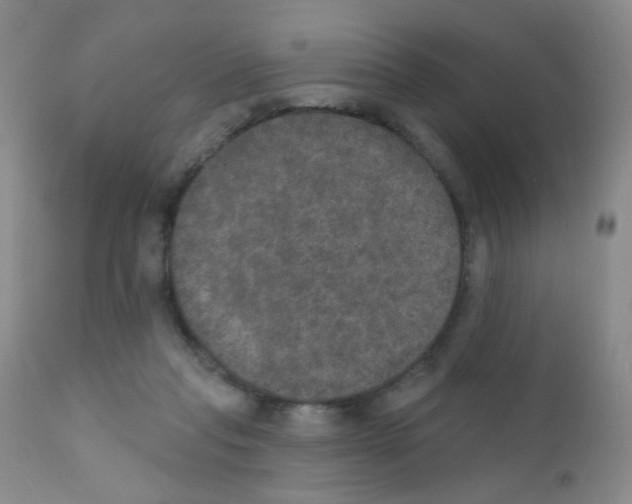 X0000111800261200909031236