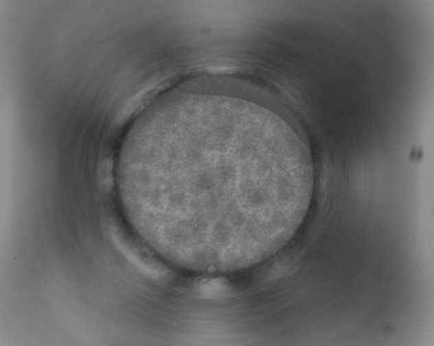X0000111800262200909031236