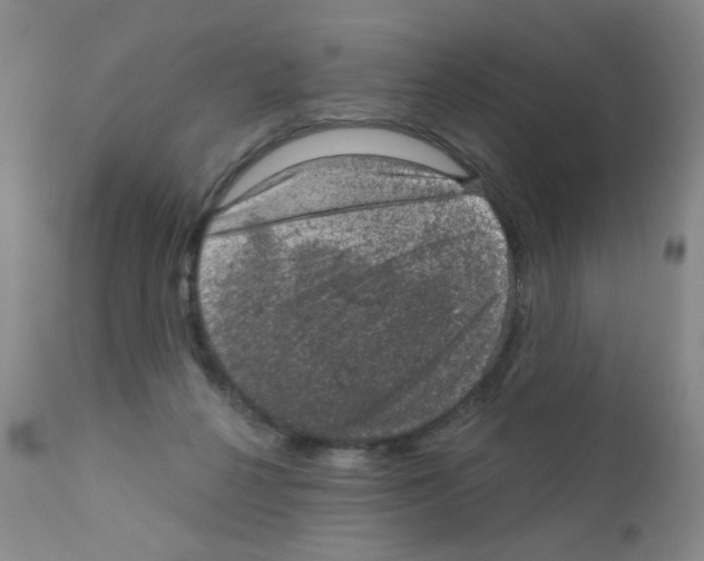X0000111800264200909031236