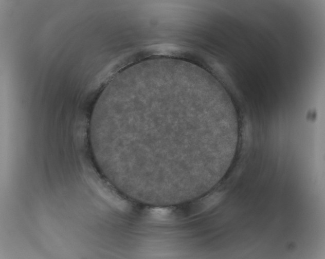 X0000111800265200909031236