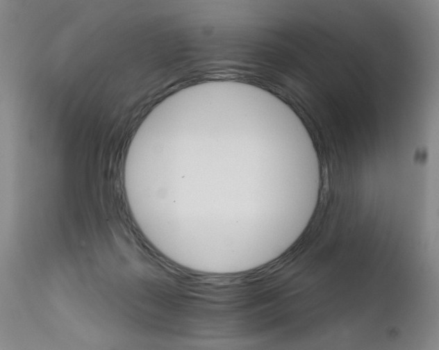 X0000111800267200909031236