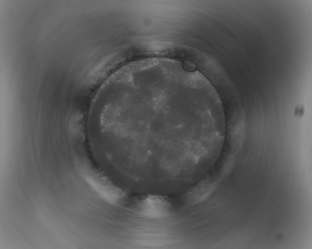 X0000111800270200909031236