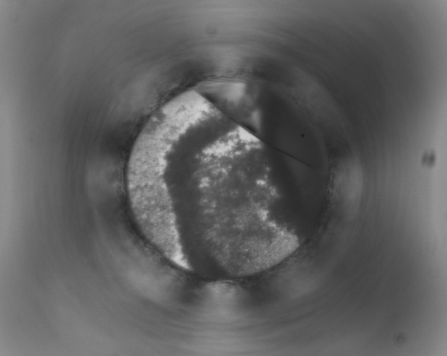 X0000111800272200909031236
