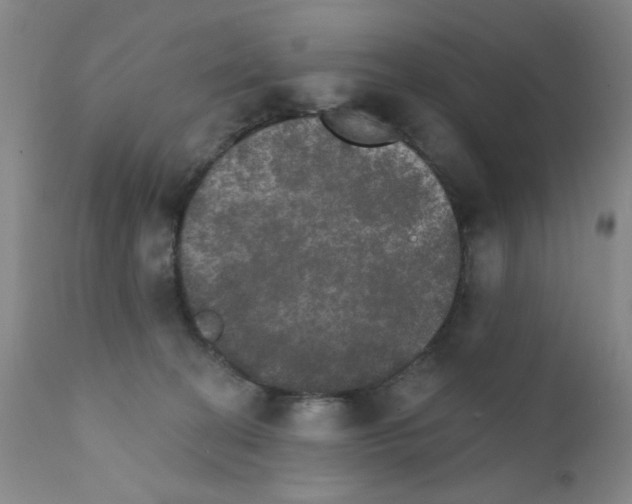 X0000111800274200909031236