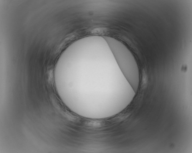 X0000111800276200909031236