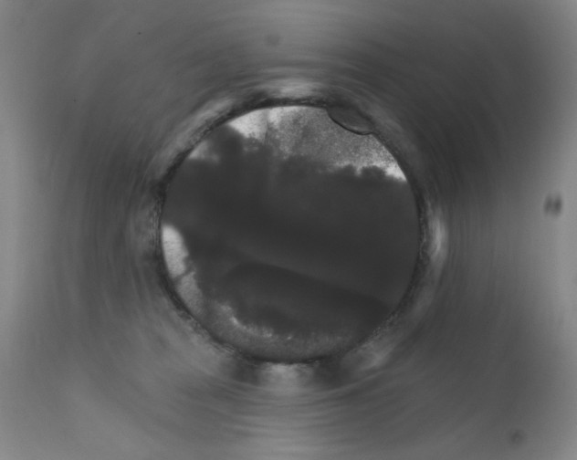X0000111800277200909031236