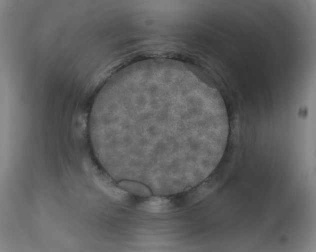 X0000111800278200909031236