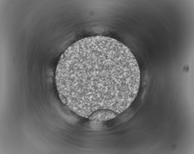 X0000111800279200909031236
