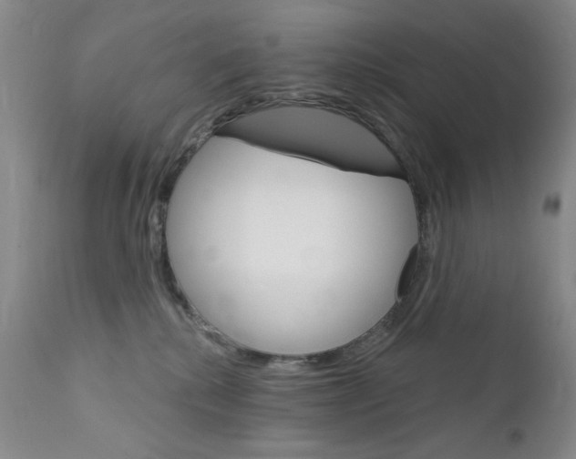 X0000111800280200909031236