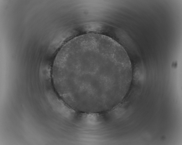 X0000111800282200909031236