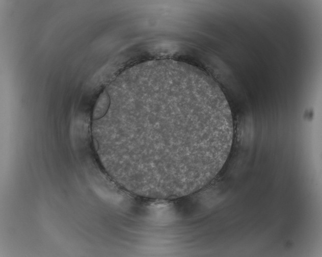 X0000111800283200909031236