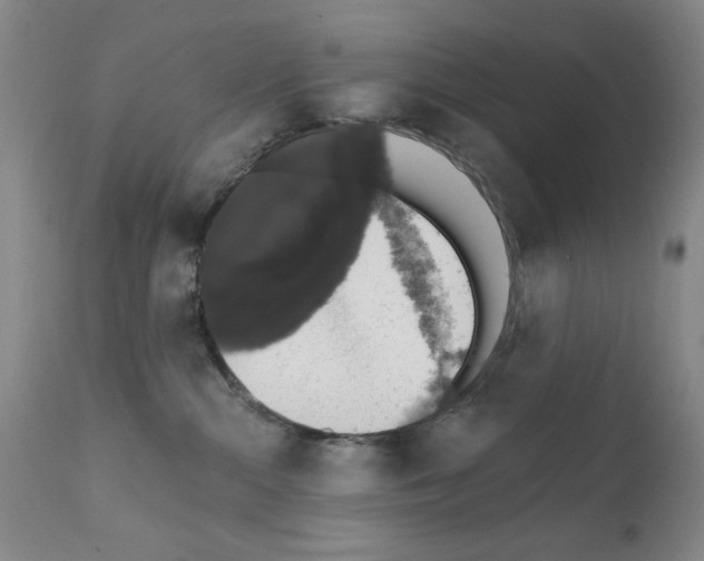 X0000111800284200909031236