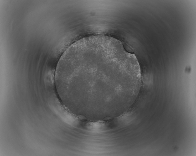X0000111800286200909031236
