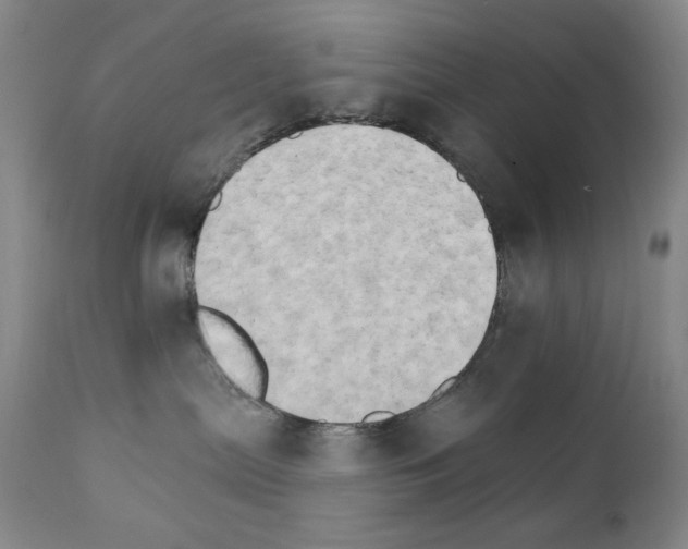 X0000111800287200909031236
