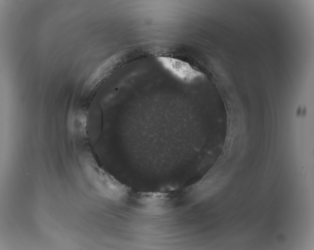 X0000111800288200909031236