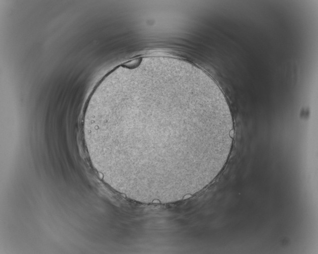 X0000111800289200909031235