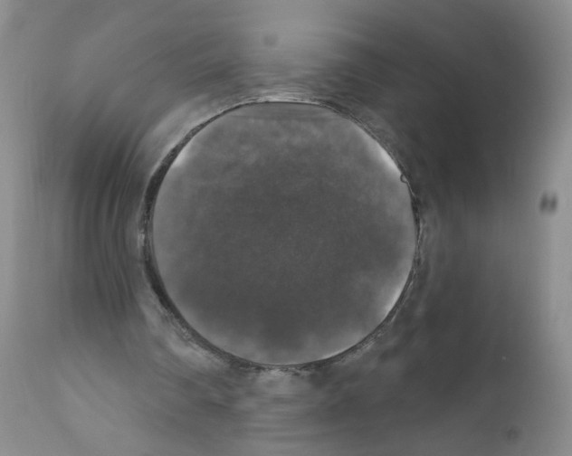 X0000111800290200909031235
