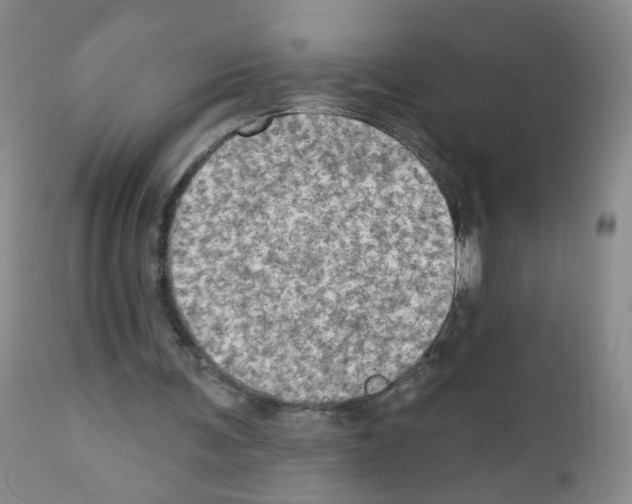 X0000111800291200909031235