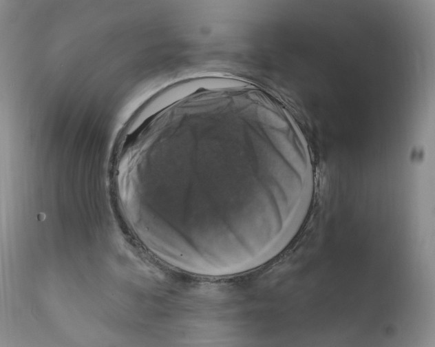 X0000111800292200909031235