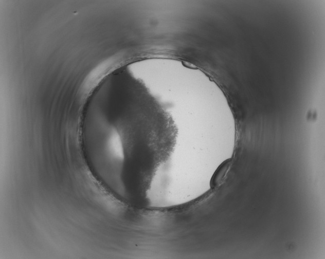 X0000111800293200909031235