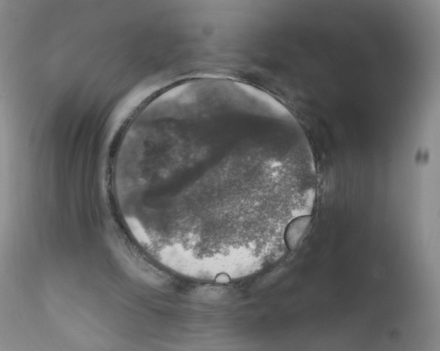 X0000111800294200909031235