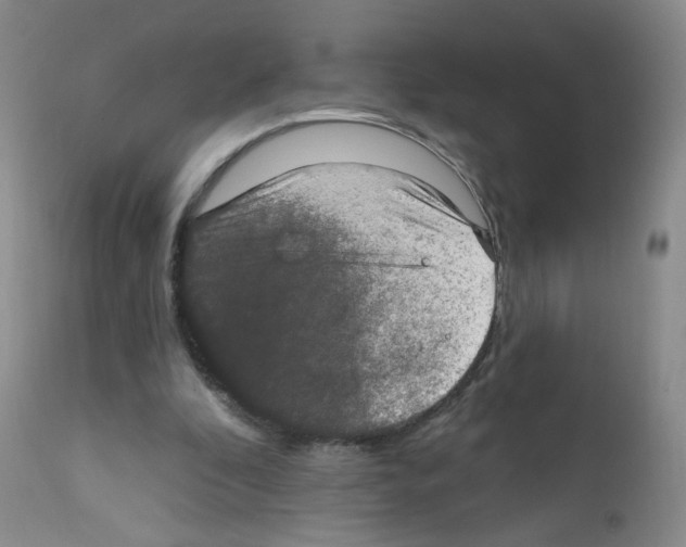 X0000111800296200909031235