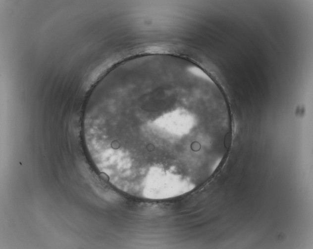X0000111800297200909031235